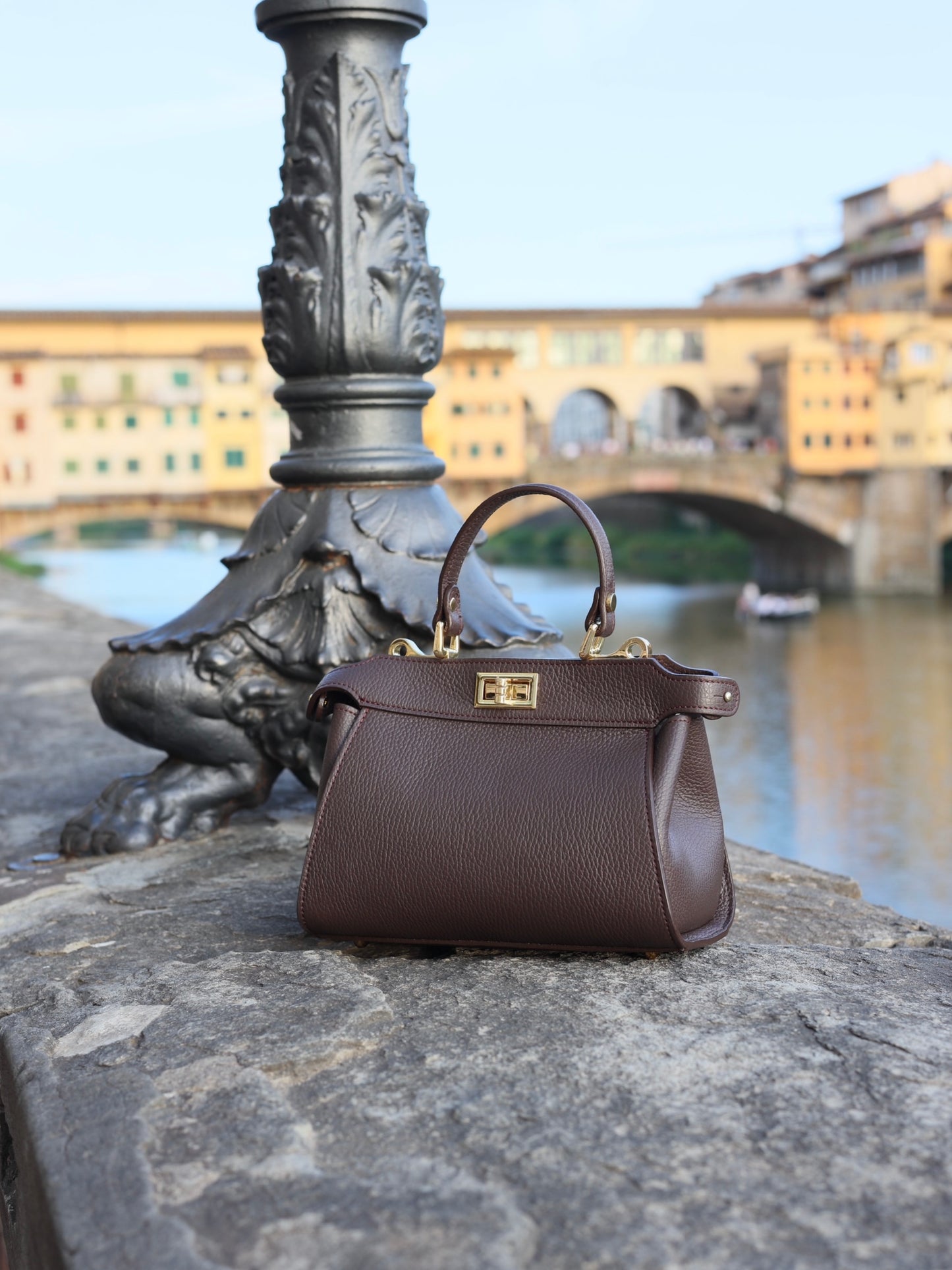 Lira Leather Handbag in Chocolate Brown